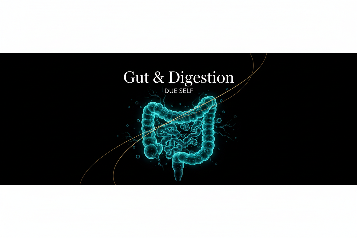 Gut & Digestion