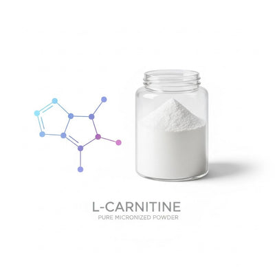 L-Carnitine