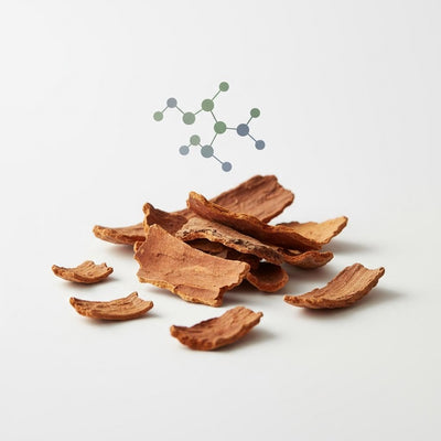 Yohimbe Bark Extract