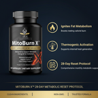 MitoBurn X Metabolic Benefits