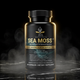 Sea Moss Hero